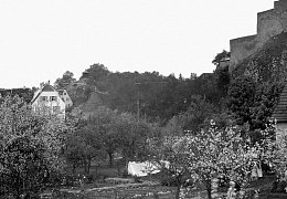 Gärten unterhalb Stadtmauer 1914