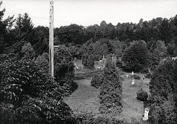 Einblicke in den alten Friedhof