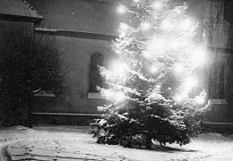 Tannenbaum auf dem Platz der großdeutschen Freiheit