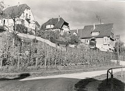 Krankenhausgarten in der Hirschstraße