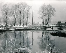 Brenz zwischen Burgwiesen und Viehstelle