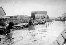 Schafwäsche an der Brenz