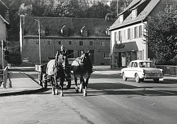 Landwirt Unger mit seinem Pferdegespann