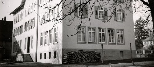 Bild
