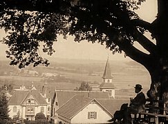 Blick unter einer Schießberglinde nach Westen